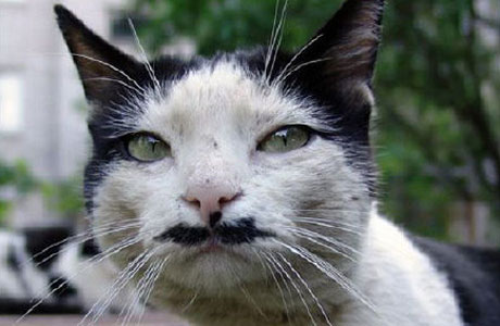 04kitler