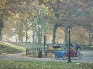 Crossing Central Park, Autumn, NYC