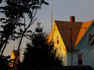 IMG_7785