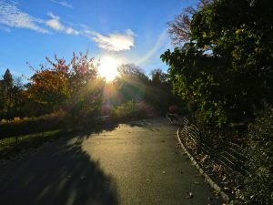 IMG_9266ff