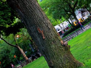 IMG_9416c